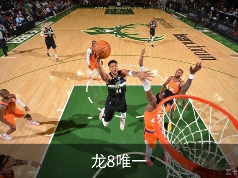 龙8唯一简介